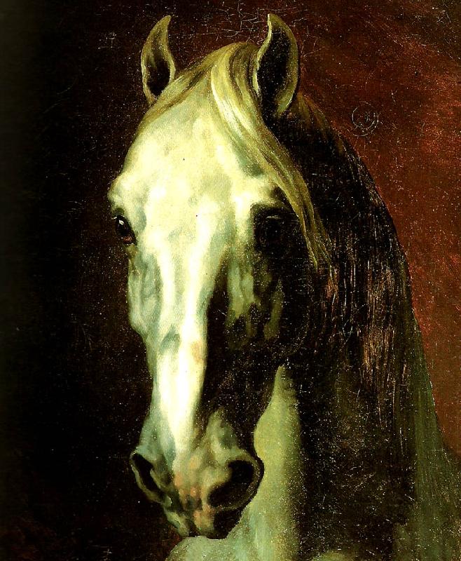 charles emile callande tete de cheval blanc